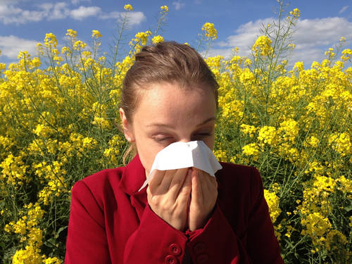 Légtisztítóval hatékonyan enyhíthetjük a pollenallergia tüneteit