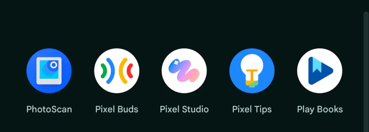 The Pixel Buds app is now available on the home screen of Pixel phones